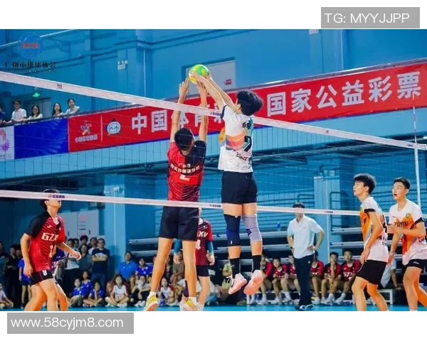 广州排球队实力强劲荣登全国排球实力排行榜第四名