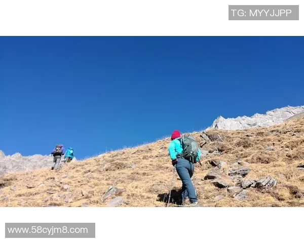 攀登人生的巅峰:王强与深度对话中的挑战与梦想 攀登人生的巅峰:王强与深度对话中的挑战与梦想